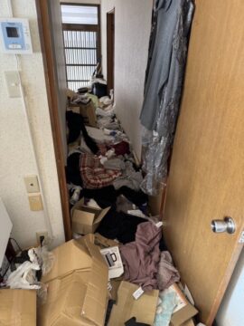 IMG_1097 | あつまる君