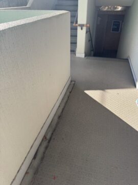 IMG_2511 | あつまる君