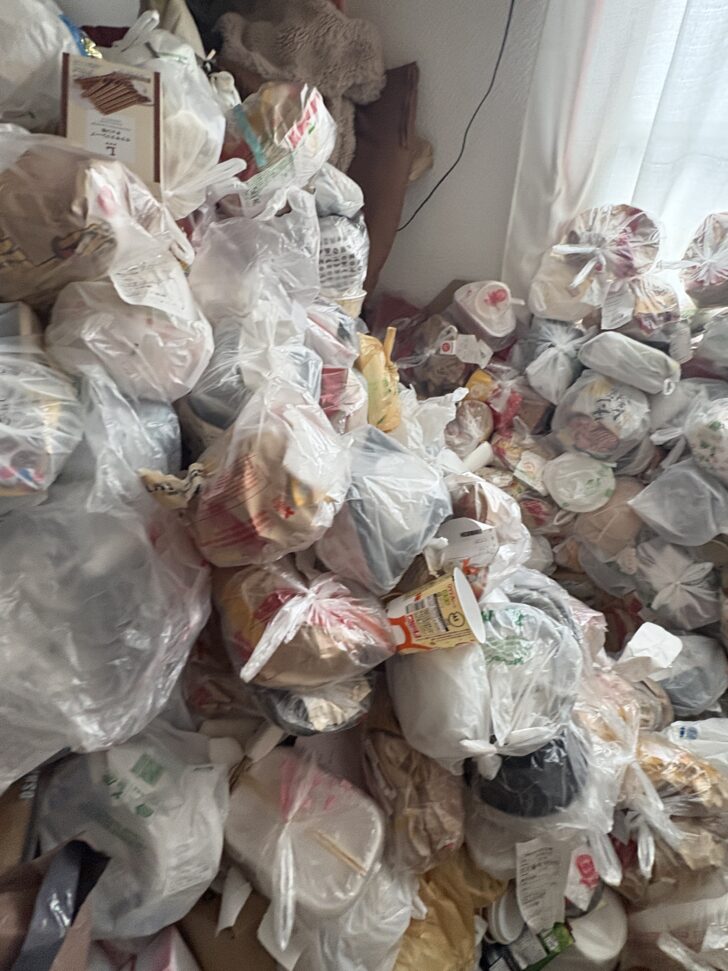 山口県長門市 ゴミ袋多数（食品容器・カップ麺容器・プラスチックトレー等を含む）, 段ボール箱, 紙類, 雑貨類, ぬいぐるみ, その他生活ゴミ一式 回収事例