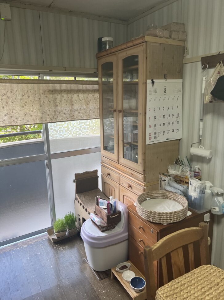 山口県宇部市琴芝 大型食器棚（ナチュラルウッド）, 三枚扉木製タンス, 多段チェスト, 洗濯機（全自動・縦型）, 猫トイレ, 猫用ベッド, 猫草, 猫用爪とぎ, ハンガー類, 洗濯かご, スプレー・洗剤類, 日用雑貨一式 回収事例