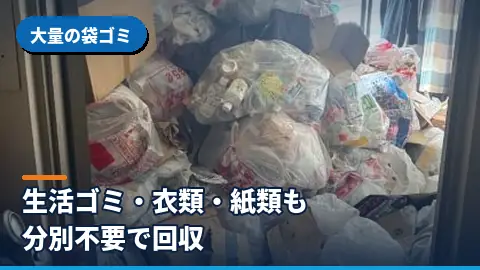 大量の袋ゴミ